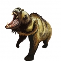 angry animals