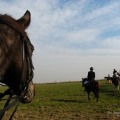 fotografia sportowa-jeździectwo