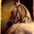 Koń (pastele suche)