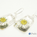 Kolczyki ze stokrotkami w przezroczystej żywicy