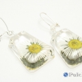 Kolczyki ze stokrotkami w przezroczystej żywicy