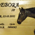 Drewniana tabliczka do boksu konia