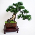 Bonsai Zokei Sosna, sztuczne drzewko bonsai