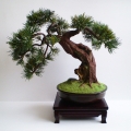 Bonsai Zokei Sosna, sztuczne drzewko bonsai