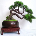 Bonsai Zokei Fukinagashi, sztuczne drzewko bonsai