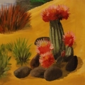 kaktus na ścianie