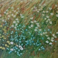 Łąka niezapominajki, 40 x 60